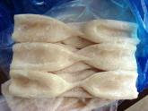 SQUID TUBES